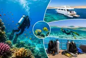 Erschwingliche Tauchpakete in Hurghada